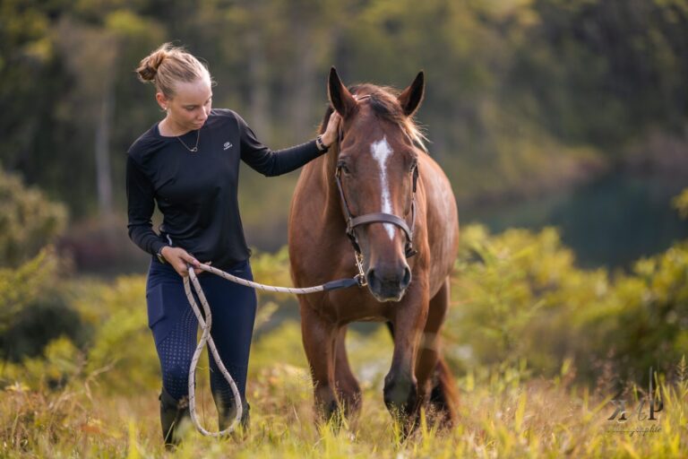 Cheval avec son apanage & sa cavalière