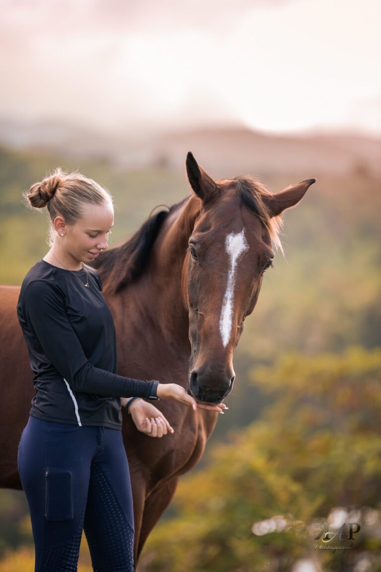 Cheval avec son apanage & sa cavalière