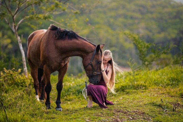 Cheval avec son apanage & sa cavalière