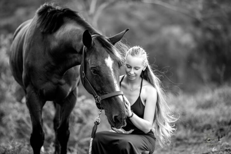 Cheval avec son apanage & sa cavalière