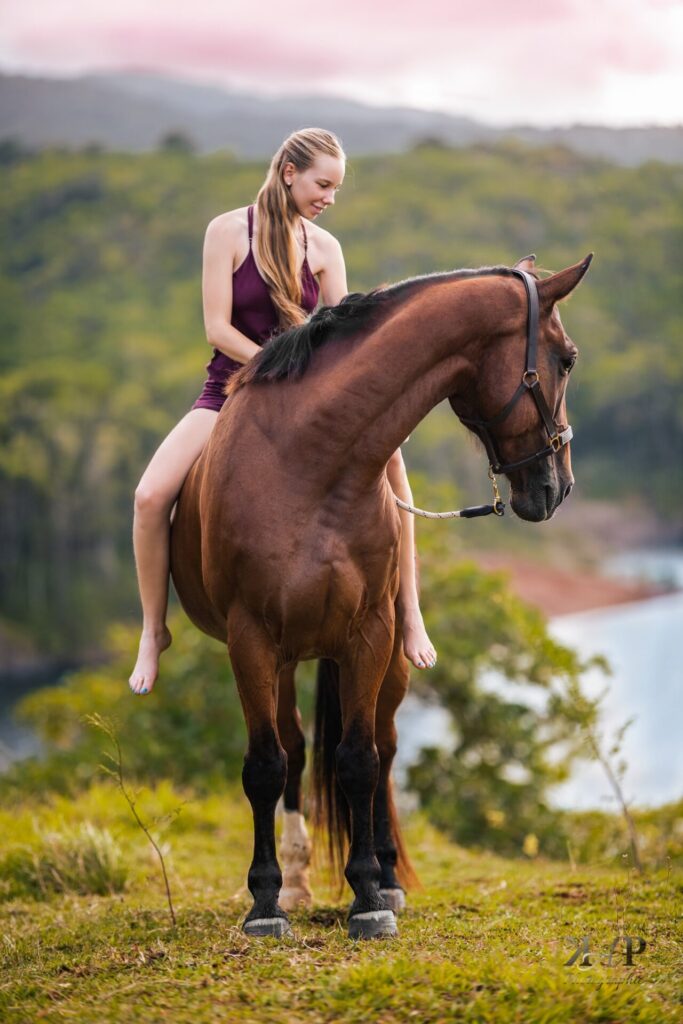 Cheval avec son apanage & sa cavalière